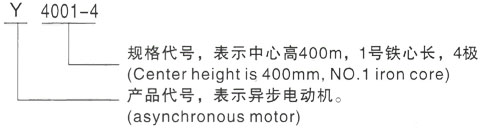 西安泰富西玛Y系列(H355-1000)高压YJTFKK5003-6三相异步电机型号说明